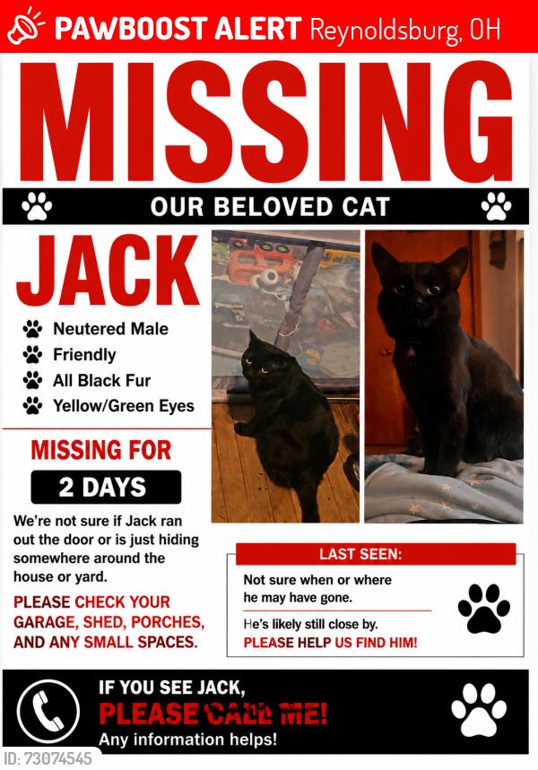 Lost Male Cat last seen Palmer rd sw, Reynoldsburg, OH 43068