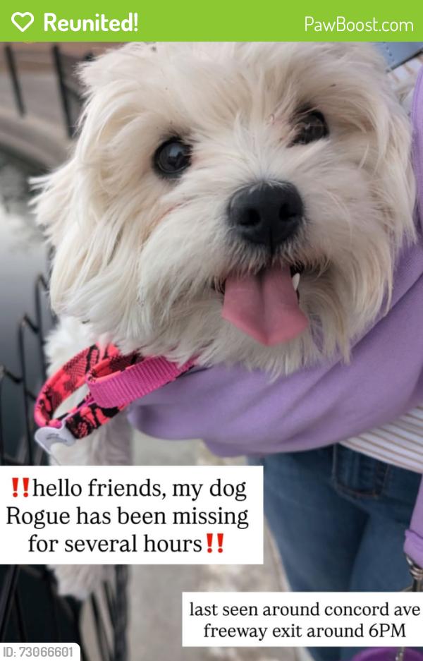 Reunited Female Dog last seen Rancho Diablo Mobile Home Park, Concord, CA 94520
