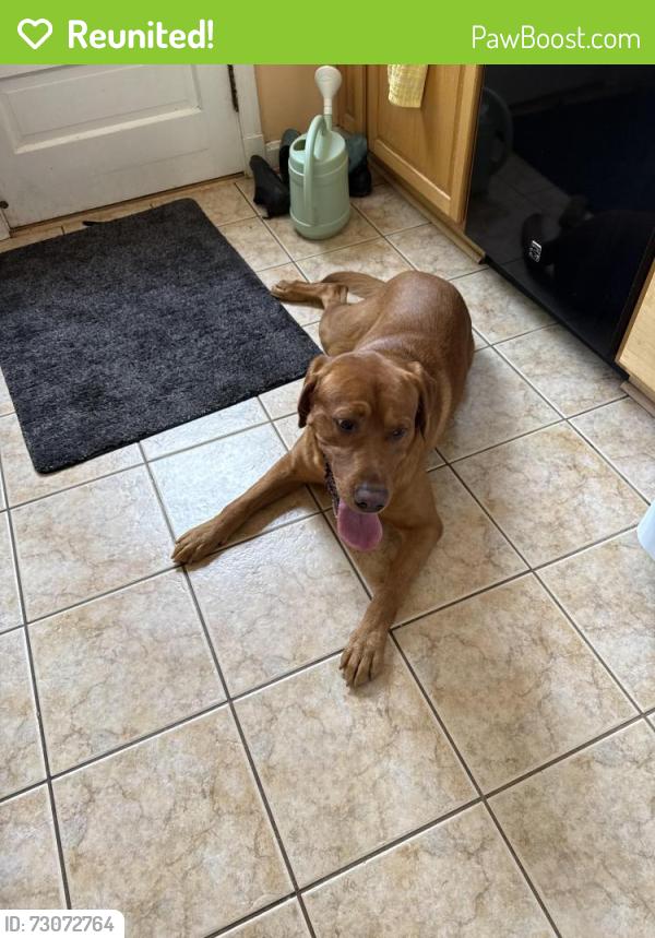 Reunited Male Dog last seen Comrose and Montauk, North Bethesda, MD 20817