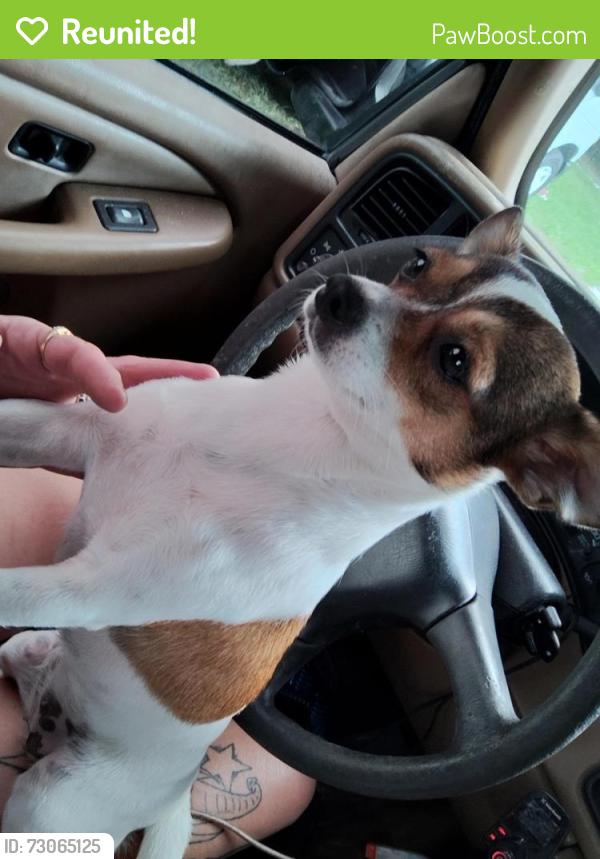 Reunited Female Dog last seen Holloway rd. & Wallace rd., Plant City, FL 33566