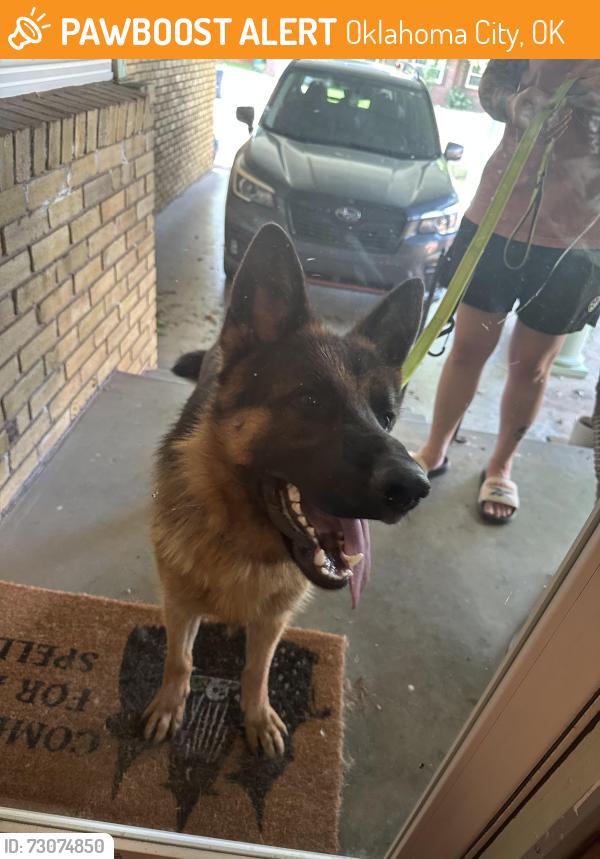 Found/Stray Male Dog last seen The Oak. Penn Square Mall, Oklahoma City, OK 73118