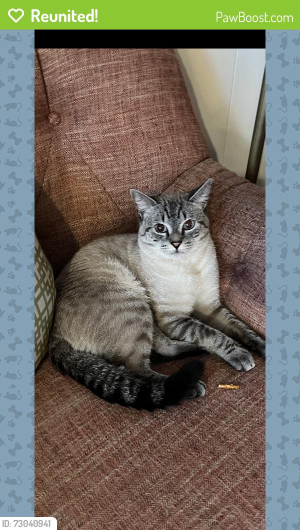 Reunited Male Cat last seen Glen Eden and Ridge Roaf, Raleigh, NC 27612