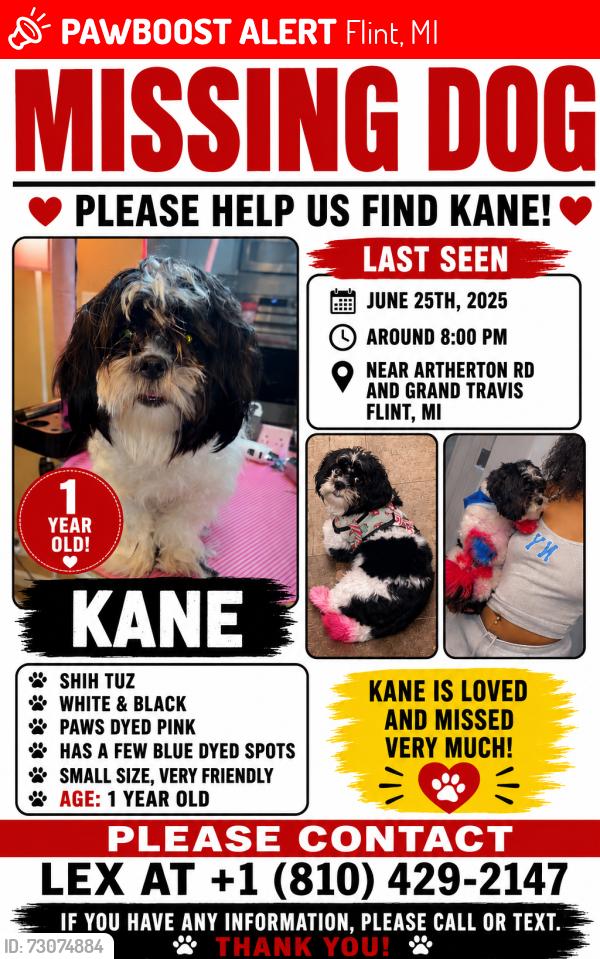 Lost Male Dog last seen Atherton rd, Flint, MI 48507