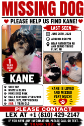 Lost Male Dog last seen Atherton rd, Flint, MI 48507