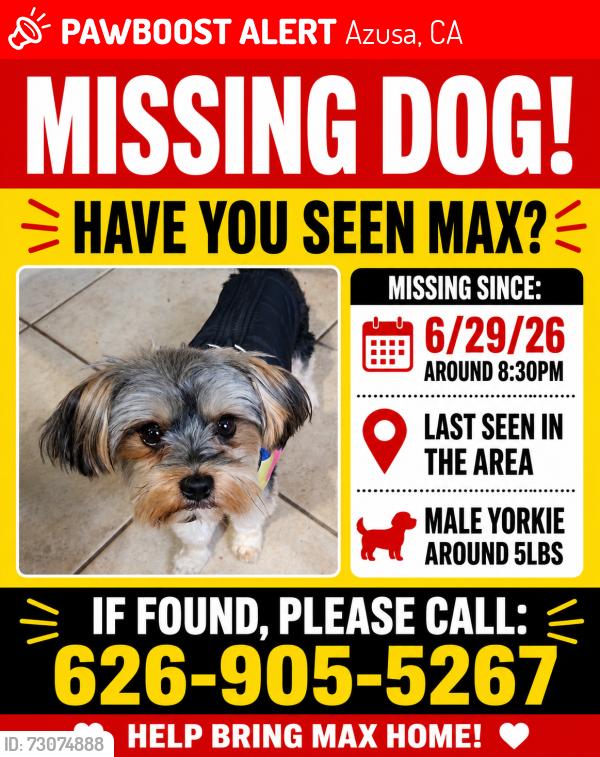 Lost Male Dog last seen Paramount Ave and 1st St, Azusa, CA 91702