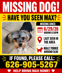 Lost Male Dog last seen Paramount Ave and 1st St, Azusa, CA 91702
