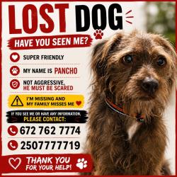 Lost Male Dog last seen Near 170st Surrey Bc, Surrey, BC V4N 4Y7