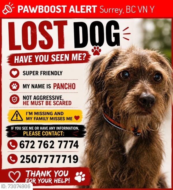 Lost Male Dog last seen Near 170st Surrey Bc, Surrey, BC V4N 4Y7