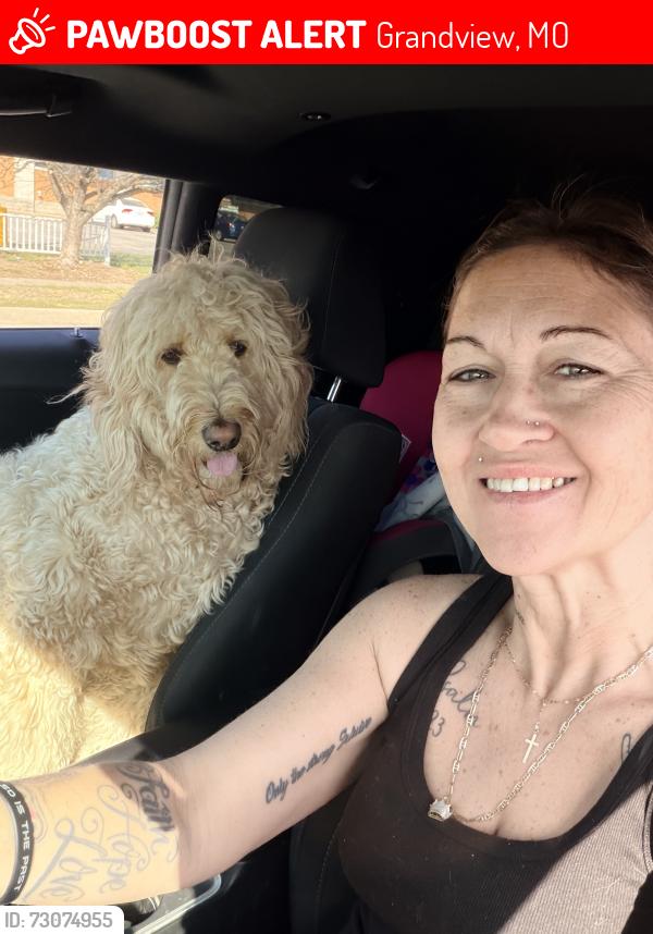 Lost Female Dog last seen Fav trip, Grandview, MO 64030