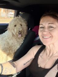 Lost Female Dog last seen Fav trip, Grandview, MO 64030
