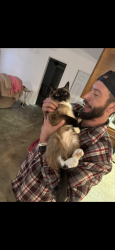 Lost Female Cat last seen Central, Orangevale, CA 95662