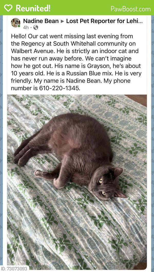 Reunited Male Cat last seen The Regency South Whitehall Twsp, Allentown, PA 18102