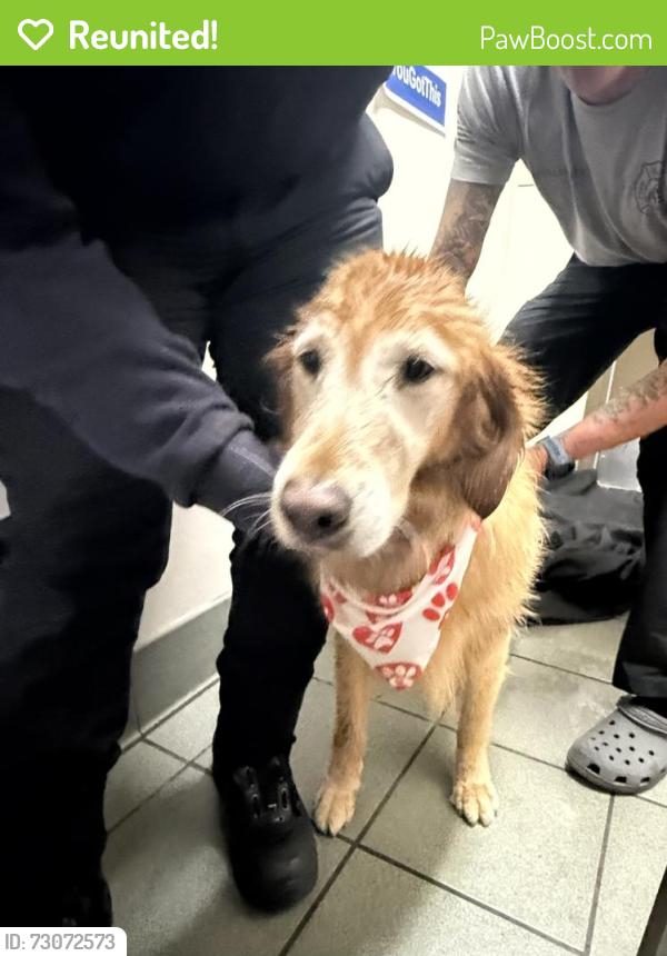 Reunited Female Dog last seen Possibly found by Health Central hosp , Orlando, FL 32835
