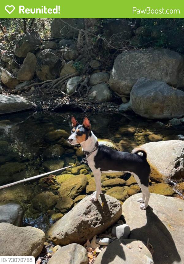 Reunited Female Dog last seen Hawks Peak Road and Quail Run Road, Aptos, CA 95003