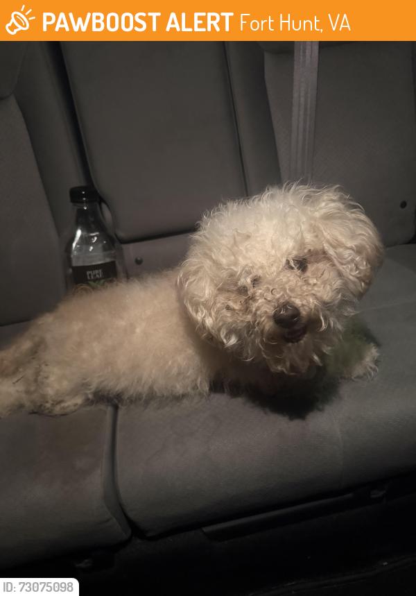 Found/Stray Unknown Dog last seen parkway, Fort Hunt, VA 22308