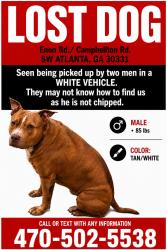 Lost Male Dog last seen Enon Rd and Campbellton Rd., Atlanta, GA 30331