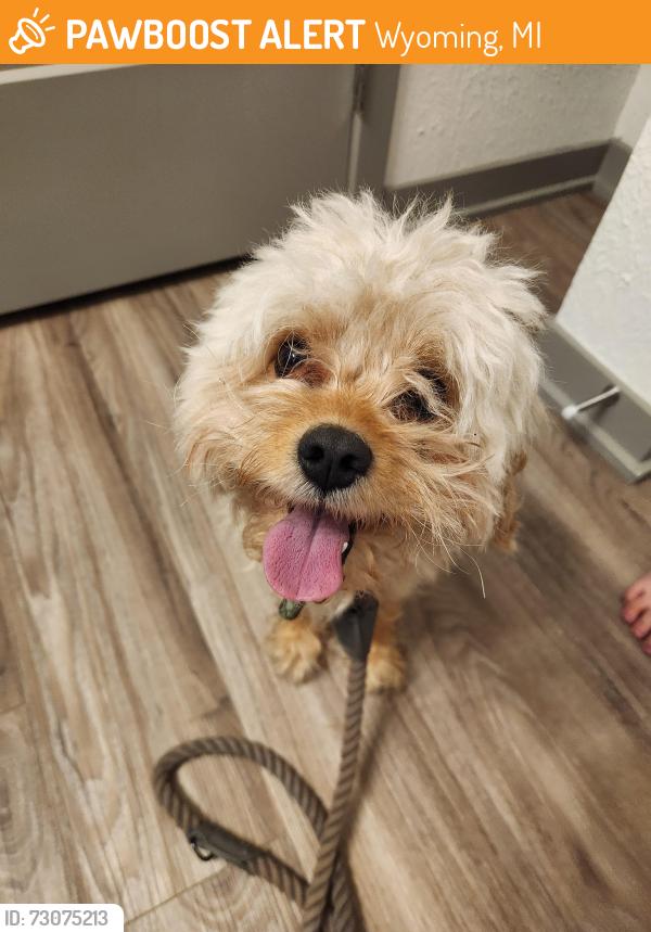 Found/Stray Male Dog last seen 64th & Wilson - Blvd at Wilson crossing, Wyoming, MI 49418