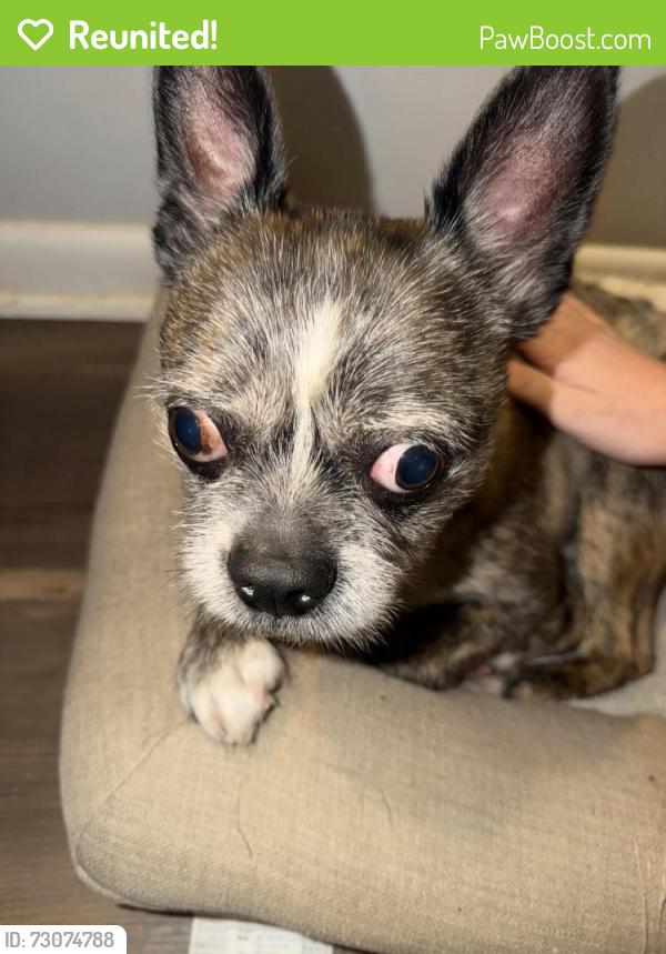 Reunited Male Dog last seen Greenwood Drive, Panama City, FL 32407