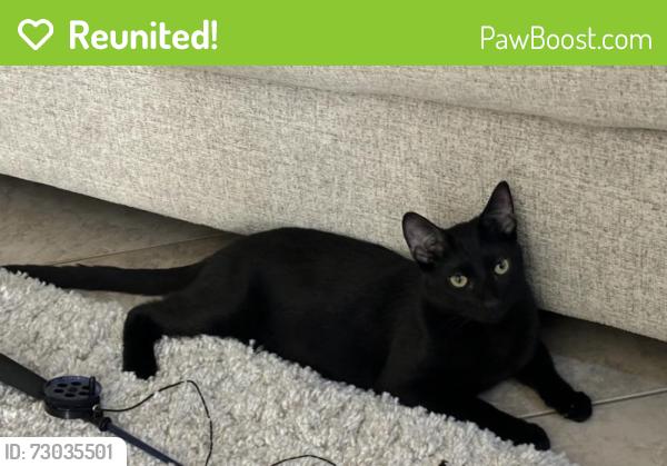 Reunited Male Cat last seen Broadway Market, Planada, CA 95365