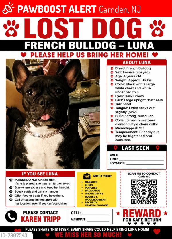 Lost Female Dog last seen Princess Avenue and Euclid Avenue, Camden, NJ 08103