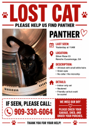 Lost Male Cat last seen Silver Rose Ct, Rancho Cucamonga, CA 91739