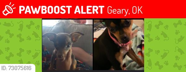 Lost Unknown Dog last seen s county line rd, geary ok, Geary, OK 73040