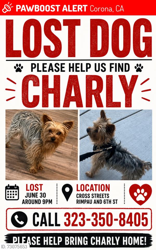 Lost Male Dog last seen Rimpau & 6th St, Corona, CA 92882