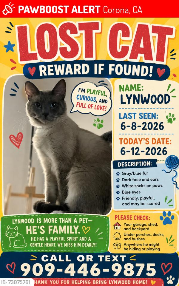 Lost Male Cat last seen Villa Corona on Rimpau and Magnolia, Corona, CA 92881