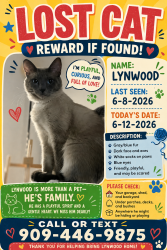 Lost Male Cat last seen Villa Corona on Rimpau and Magnolia, Corona, CA 92881