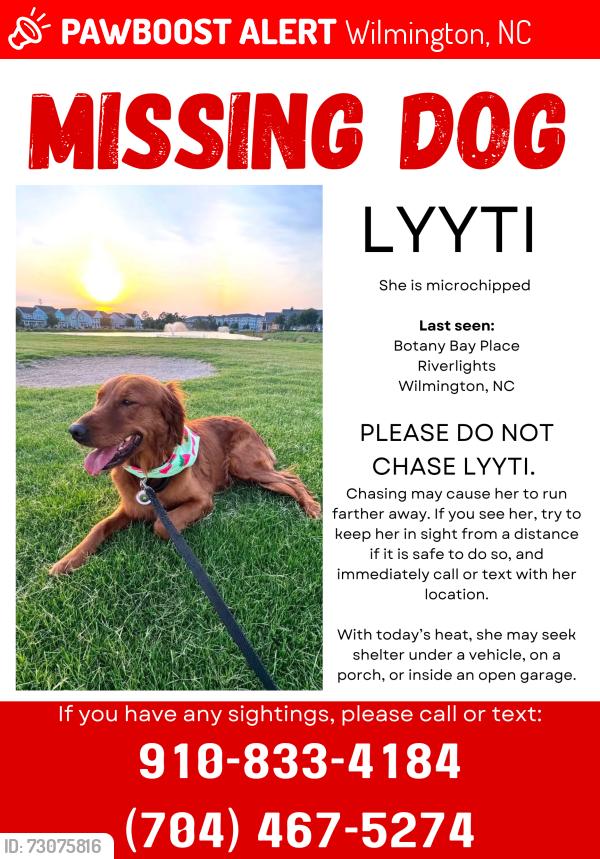 Lost Female Dog last seen Ran from Oasis apmts, Wilmington, NC 28412