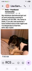 Reunited Male Dog last seen CR289, Sweeny, TX 77480