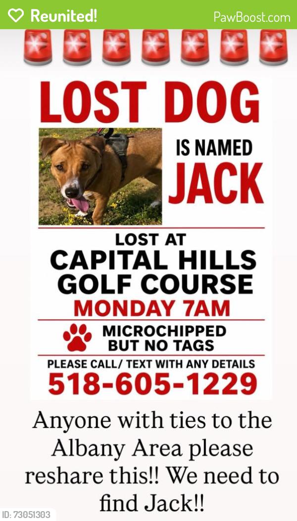 Reunited Male Dog last seen Capital Hills Golf Course, Albany NY, Albany, NY 12208
