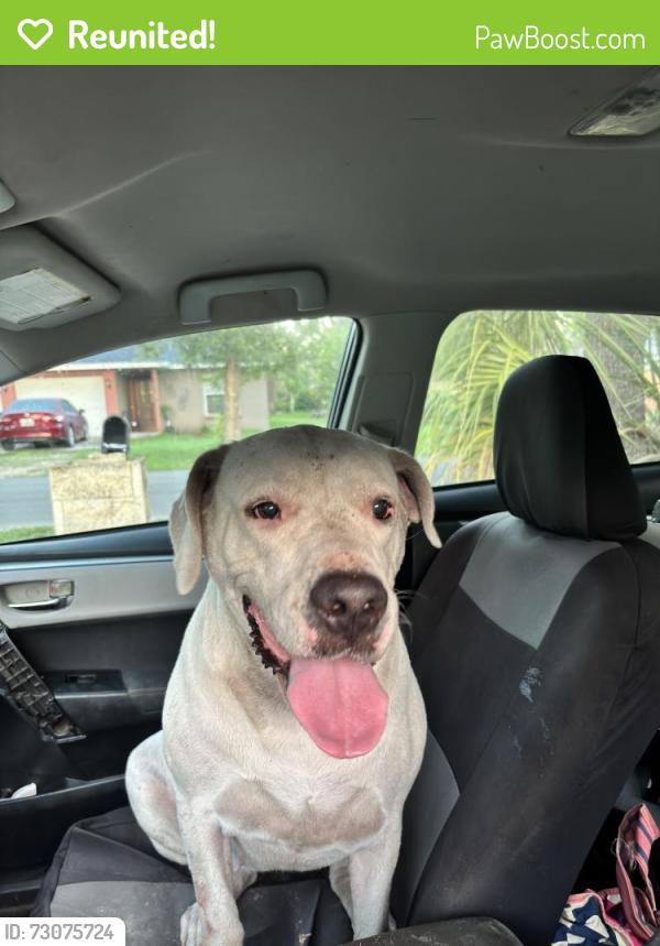 Reunited Female Dog last seen C ave , Zephyrhills, FL 33542