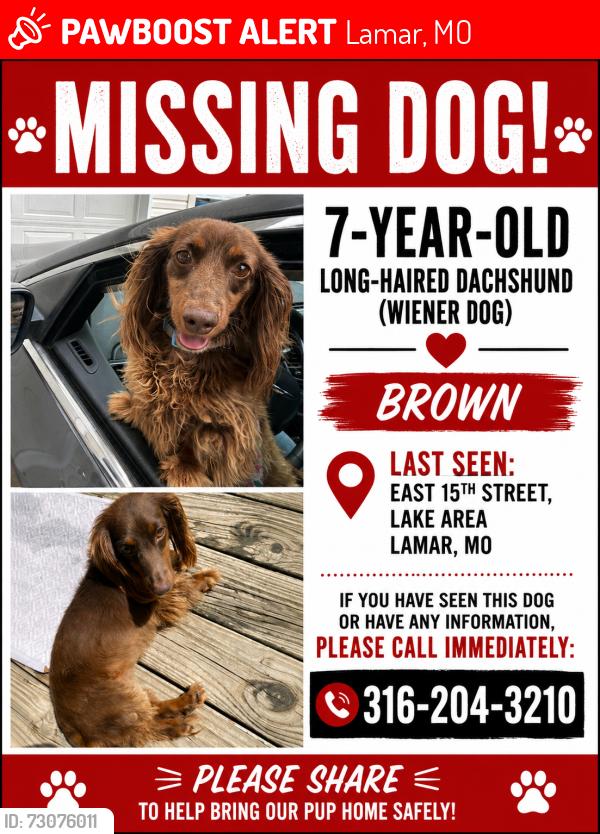 Lost Female Dog last seen 15th And hagny by Barco drive in, Lamar, MO 64759