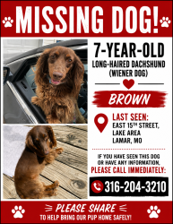 Lost Female Dog last seen 15th And hagny by Barco drive in, Lamar, MO 64759