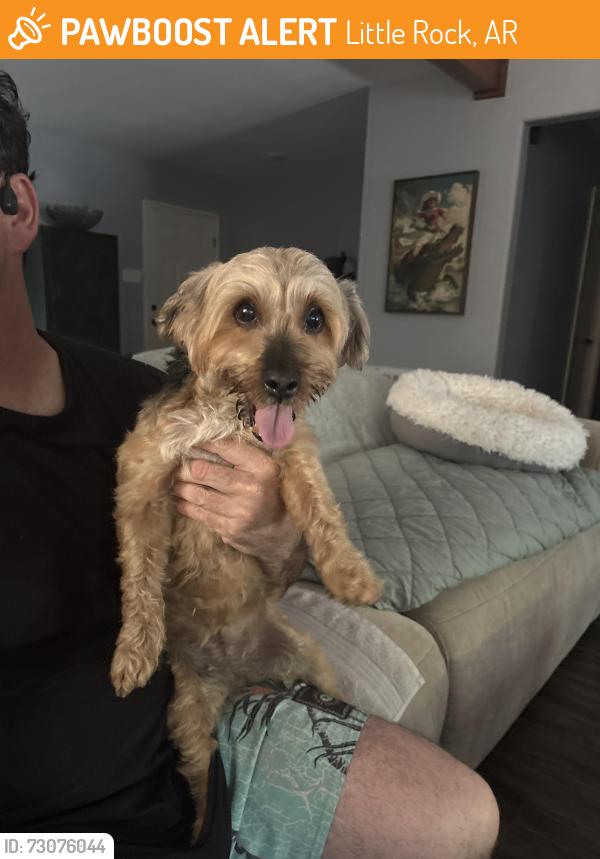Found/Stray Female Dog last seen Stagecoach and otter creek, Little Rock, AR 72210