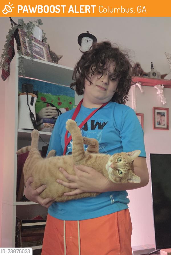 Found/Stray Male Cat last seen Bradley Park and River Rd, Columbus, GA 31904