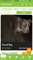 Reunited Female Dog last seen Seminary Ave, Oakland, CA, USA, Oakland, CA 94605