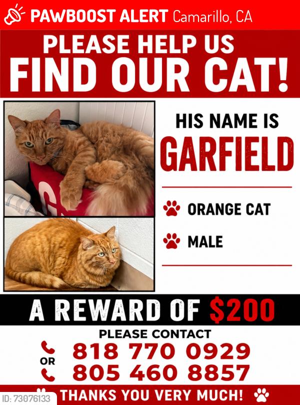 Lost Male Cat last seen East Loop, Camarillo, CA 93010