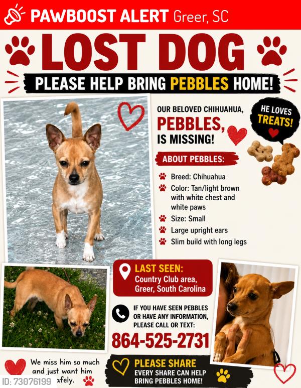 Lost Male Dog last seen Country club rd Greer sc 29651, Greer, SC 29651