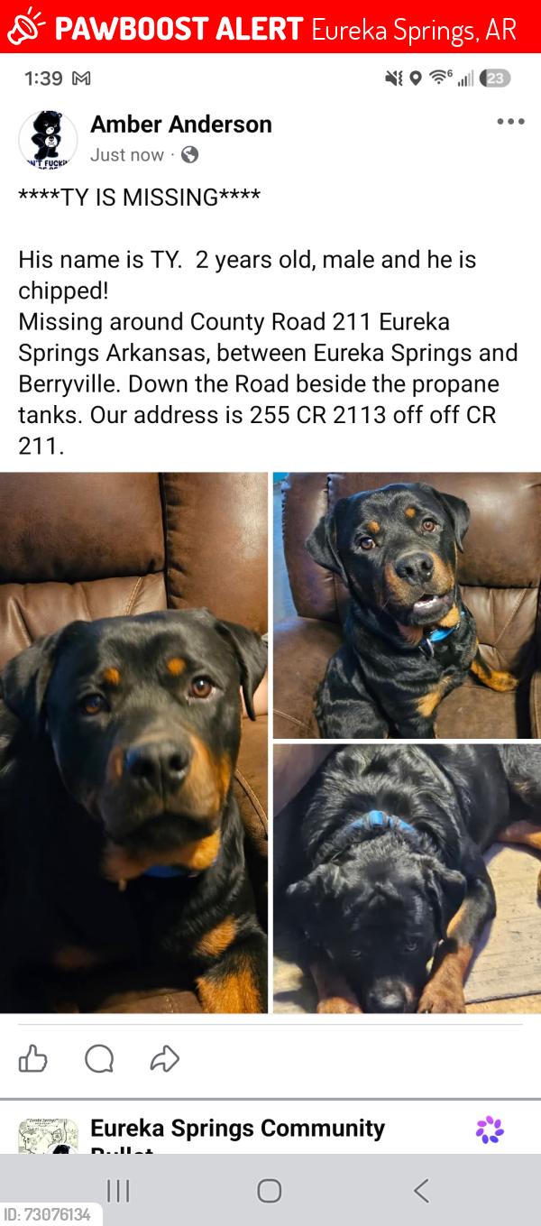 Lost Male Dog last seen County Road 211, Eureka Springs, AR 72632