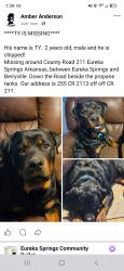 Lost Male Dog last seen County Road 211, Eureka Springs, AR 72632