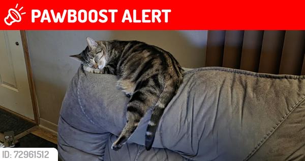 Lost Male Cat last seen Arcadia blvd/Morgan road, Pennfield Township, MI 49017