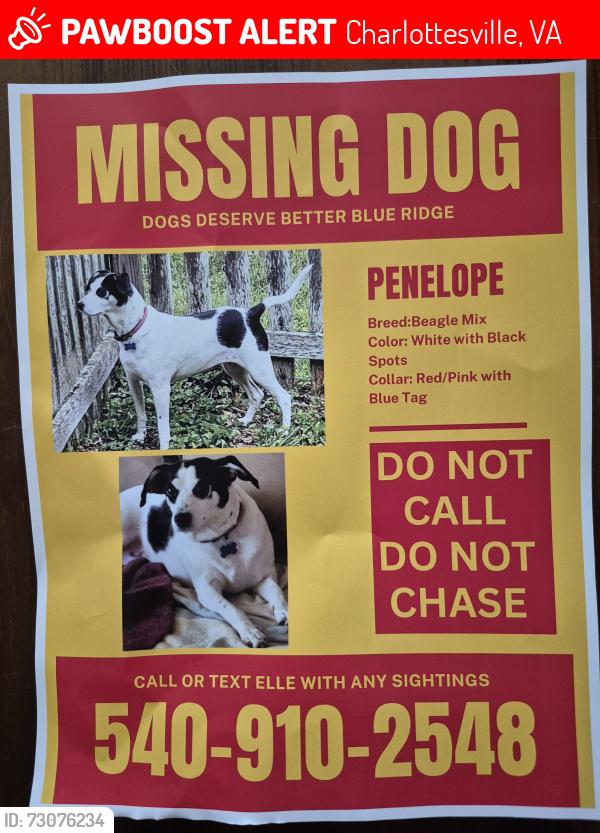 Lost Female Dog last seen Proffit Rd near Baker Butler Elementary , Charlottesville, VA 22911