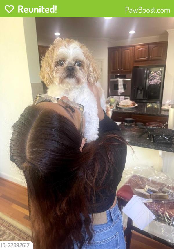 Reunited Female Dog last seen Brooke rd Sandy Spring MD, Ashton-Sandy Spring, MD 20860