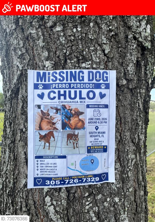 Lost Male Dog last seen South Miami Heights SW 122ND AVE & SW 204TH ST, South Miami Heights, FL 33177