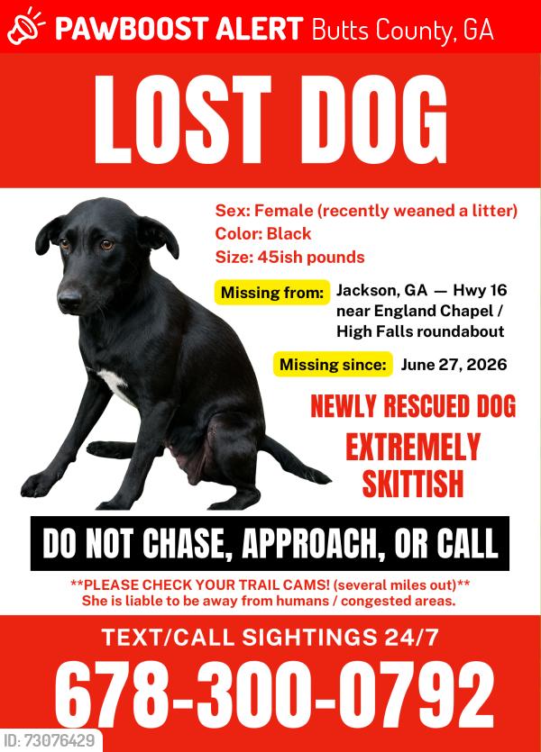 Lost Female Dog last seen Highway 16 / Dub Walker Rd, Butts County, GA 30233