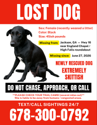 Lost Female Dog last seen Highway 16 / Dub Walker Rd, Butts County, GA 30233