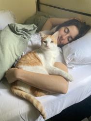 Reunited Male Cat last seen Just off Mare street, he got out through our back garden going the direction of Dalston Lane, Greater London, England E8 1JU