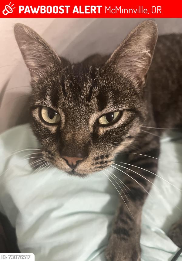 Lost Female Cat last seen Sunrise church, McMinnville, OR 97128
